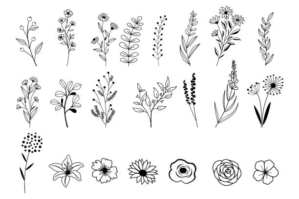 Wildflower Tattoos