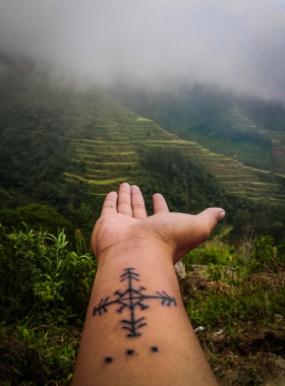 nature and sleeve tattoos(Get Big Tattoos and Keep Them Looking Great)